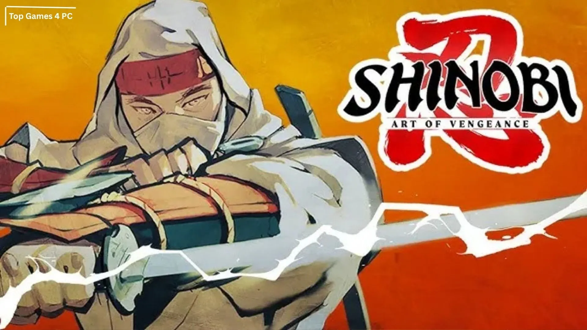 Shinobi: Art of Vengeance PC